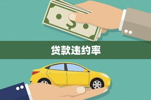 柳南贷款违约率