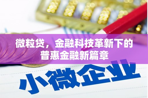 柳南微粒贷，金融科技革新下的普惠金融新篇章