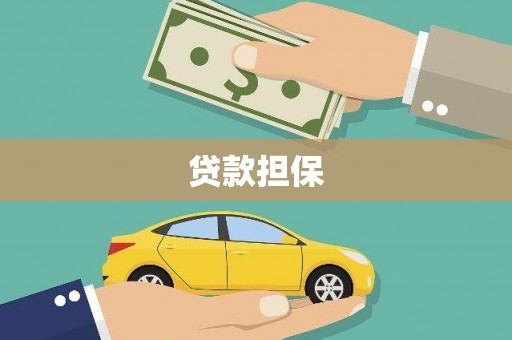 柳南贷款担保