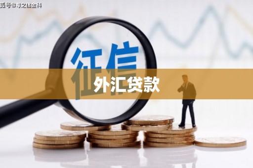 柳南外汇贷款