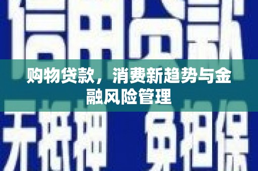 柳南购物贷款，消费新趋势与金融风险管理