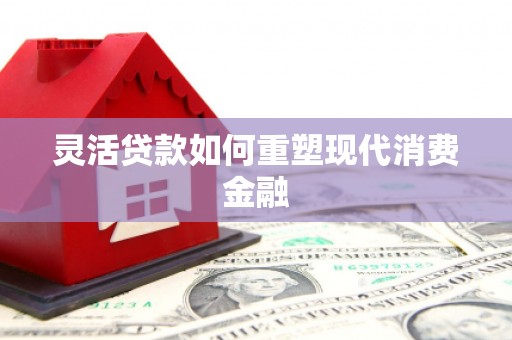 柳南灵活贷款如何重塑现代消费金融