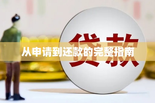 柳南从申请到还款的完整指南