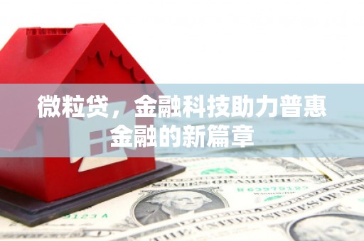 柳南微粒贷，金融科技助力普惠金融的新篇章