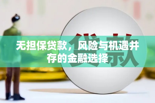 柳南无担保贷款，风险与机遇并存的金融选择