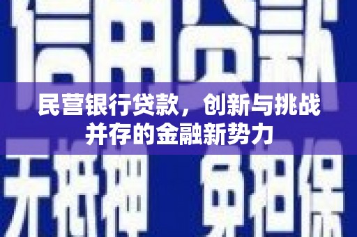柳南民营银行贷款，创新与挑战并存的金融新势力