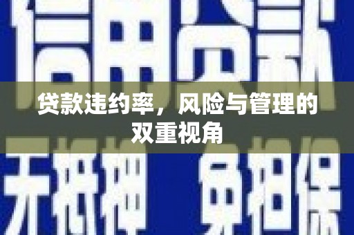 柳南贷款违约率，风险与管理的双重视角