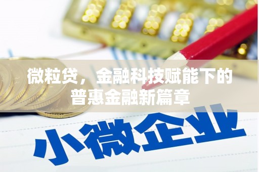 柳南微粒贷，金融科技赋能下的普惠金融新篇章