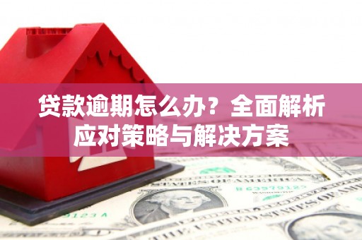 柳南贷款逾期怎么办？全面解析应对策略与解决方案