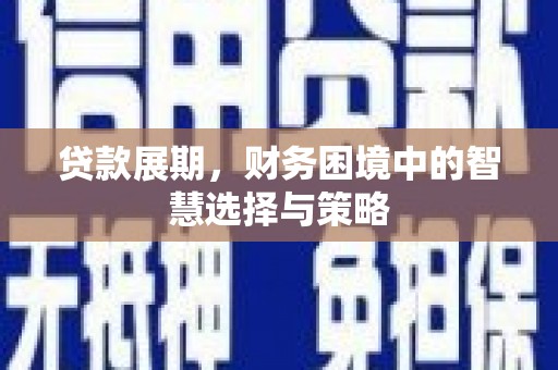 柳南贷款展期，财务困境中的智慧选择与策略