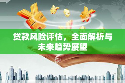 柳南贷款风险评估，全面解析与未来趋势展望