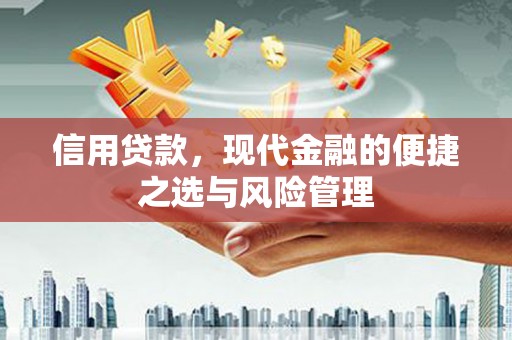 柳南信用贷款，现代金融的便捷之选与风险管理