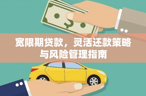 柳南宽限期贷款，灵活还款策略与风险管理指南