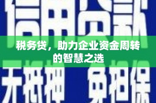 柳南税务贷，助力企业资金周转的智慧之选