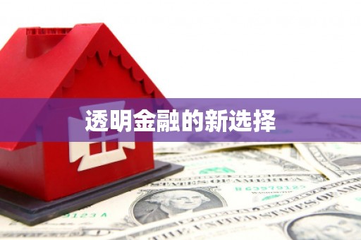柳南透明金融的新选择