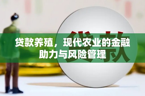 柳南贷款养殖，现代农业的金融助力与风险管理