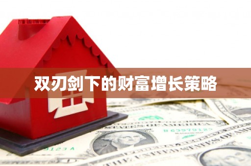 柳南双刃剑下的财富增长策略