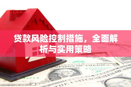 柳南贷款风险控制措施，全面解析与实用策略
