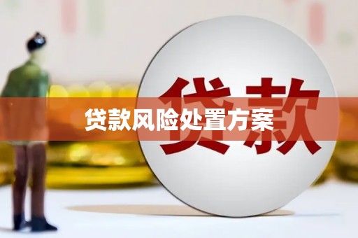 柳南贷款风险处置方案