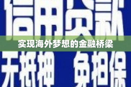 柳南实现海外梦想的金融桥梁