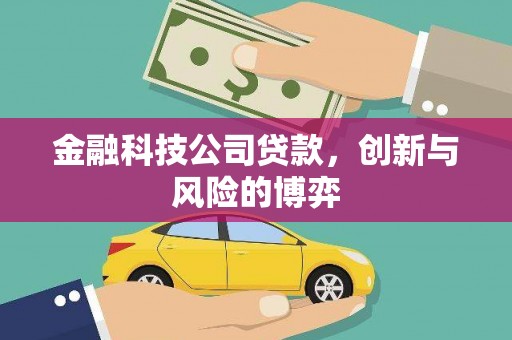柳南金融科技公司贷款，创新与风险的博弈