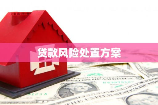 柳南贷款风险处置方案