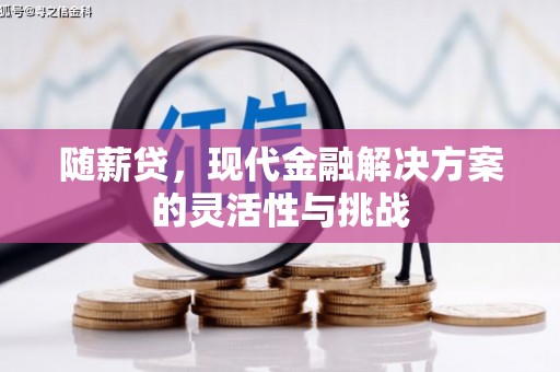 柳南随薪贷，现代金融解决方案的灵活性与挑战