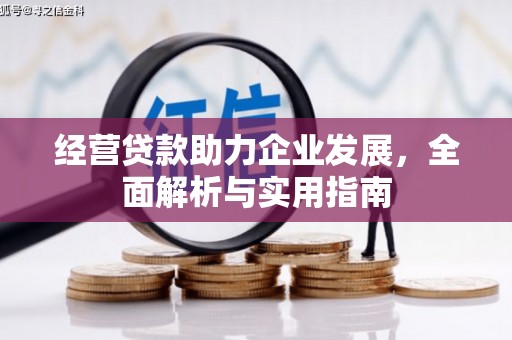 柳南经营贷款助力企业发展，全面解析与实用指南