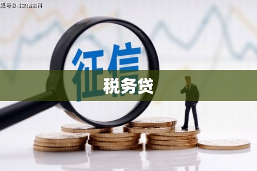 柳南税务贷