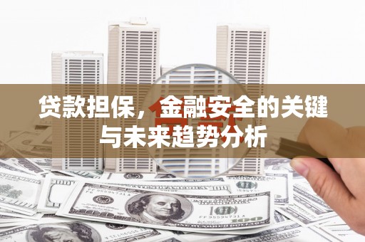 柳南贷款担保，金融安全的关键与未来趋势分析