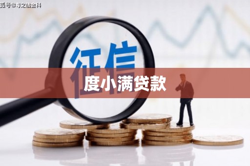 柳南度小满贷款