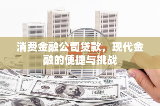 柳南消费金融公司贷款，现代金融的便捷与挑战