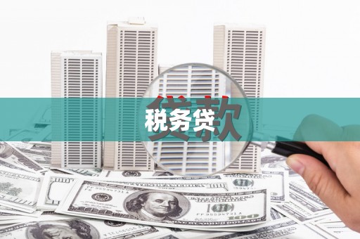 柳南税务贷
