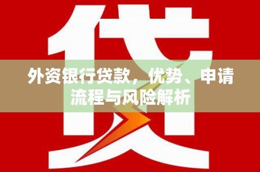 柳南外资银行贷款，优势、申请流程与风险解析