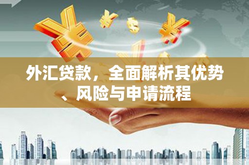 柳南外汇贷款，全面解析其优势、风险与申请流程