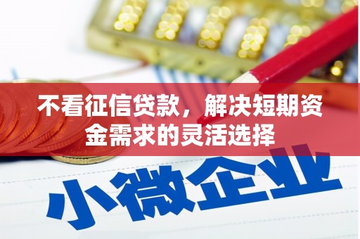 柳南不看征信贷款，解决短期资金需求的灵活选择
