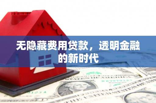 柳南无隐藏费用贷款，透明金融的新时代