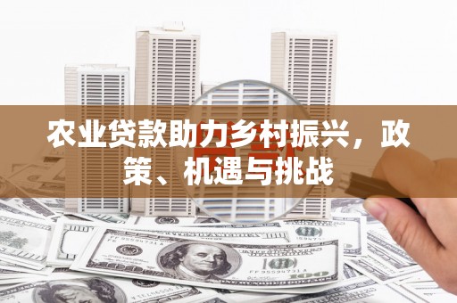 柳南农业贷款助力乡村振兴，政策、机遇与挑战