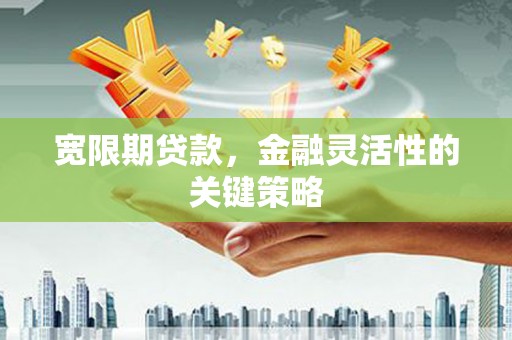 柳南宽限期贷款，金融灵活性的关键策略