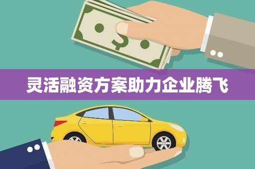 柳南灵活融资方案助力企业腾飞