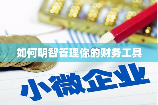 柳南如何明智管理你的财务工具