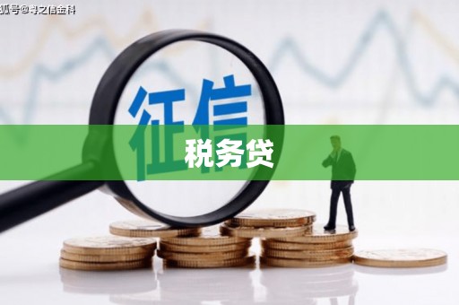 柳南税务贷