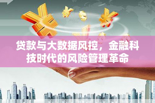 柳南贷款与大数据风控，金融科技时代的风险管理革命