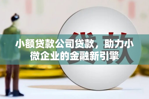 柳南小额贷款公司贷款，助力小微企业的金融新引擎