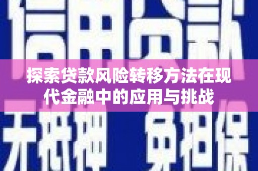 柳南探索贷款风险转移方法在现代金融中的应用与挑战