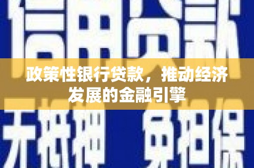 柳南政策性银行贷款，推动经济发展的金融引擎