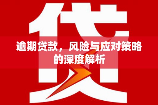 柳南逾期贷款，风险与应对策略的深度解析