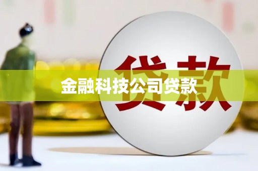 柳南金融科技公司贷款
