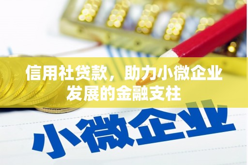 柳南信用社贷款，助力小微企业发展的金融支柱