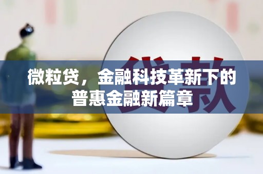 柳南微粒贷，金融科技革新下的普惠金融新篇章